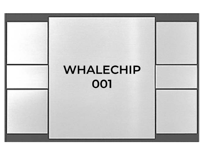 WHALECHIP 001